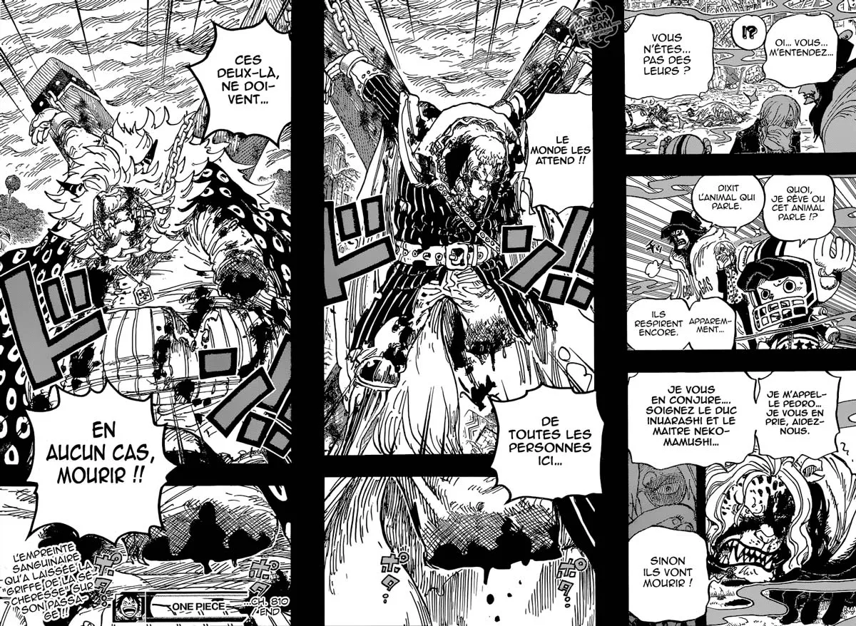Your Manga Title Chapter 810 page 17 - read online in English